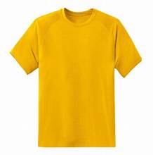 Customizable T-Shirt